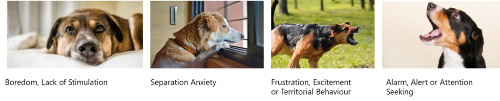 Images showing the different root causes that can result in dogs barking when left alone such as separation anxiety, boredom or lack of stimulation etc.