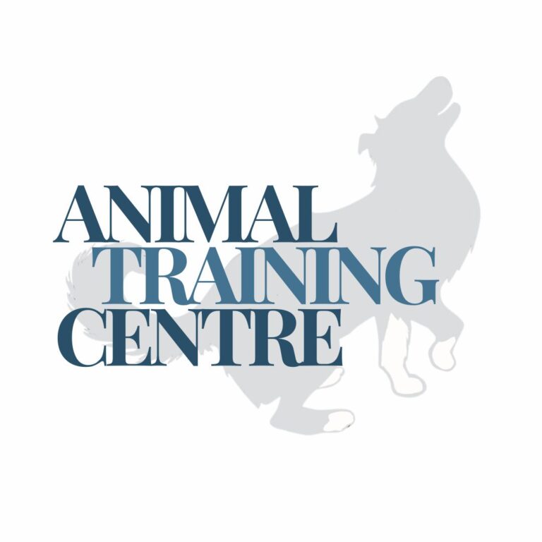 Animal Training Centre | Dog Training