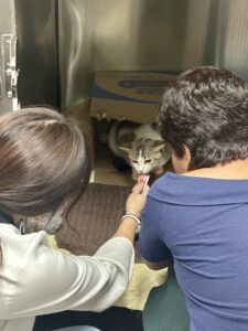 cats&leadershipocbc_petcoach2