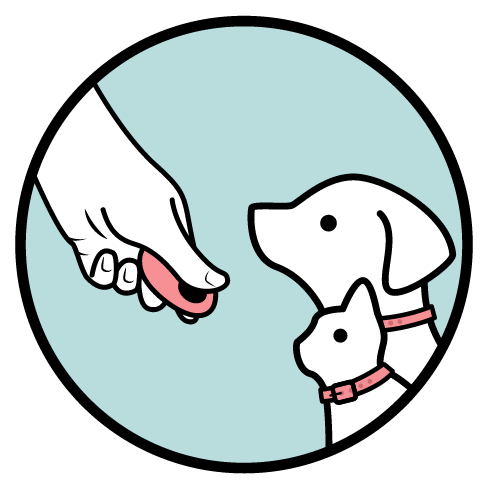 Pet Coach Singapore