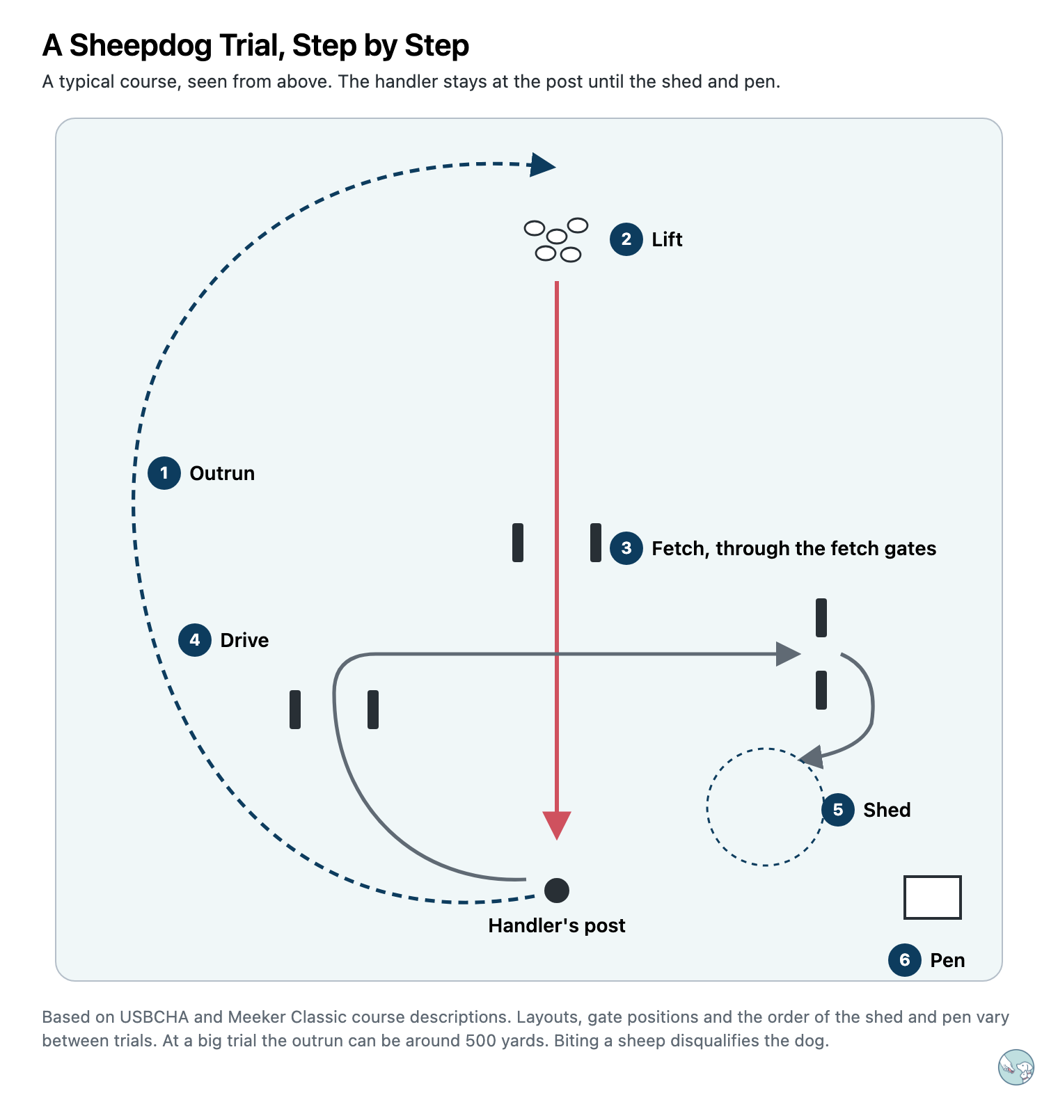 Map of a sheepdog trial course seen from above. 1 Outrun: the dog runs out in a wide pear-shaped arc to land behind the sheep. 2 Lift: the sheep start moving. 3 Fetch: the dog brings them straight down through the fetch gates to the handler's post. 4 Drive: the sheep go out through the first drive gates, across to the second, and back. 5 Shed: sheep are split inside a ring. 6 Pen: the sheep go into a small pen.