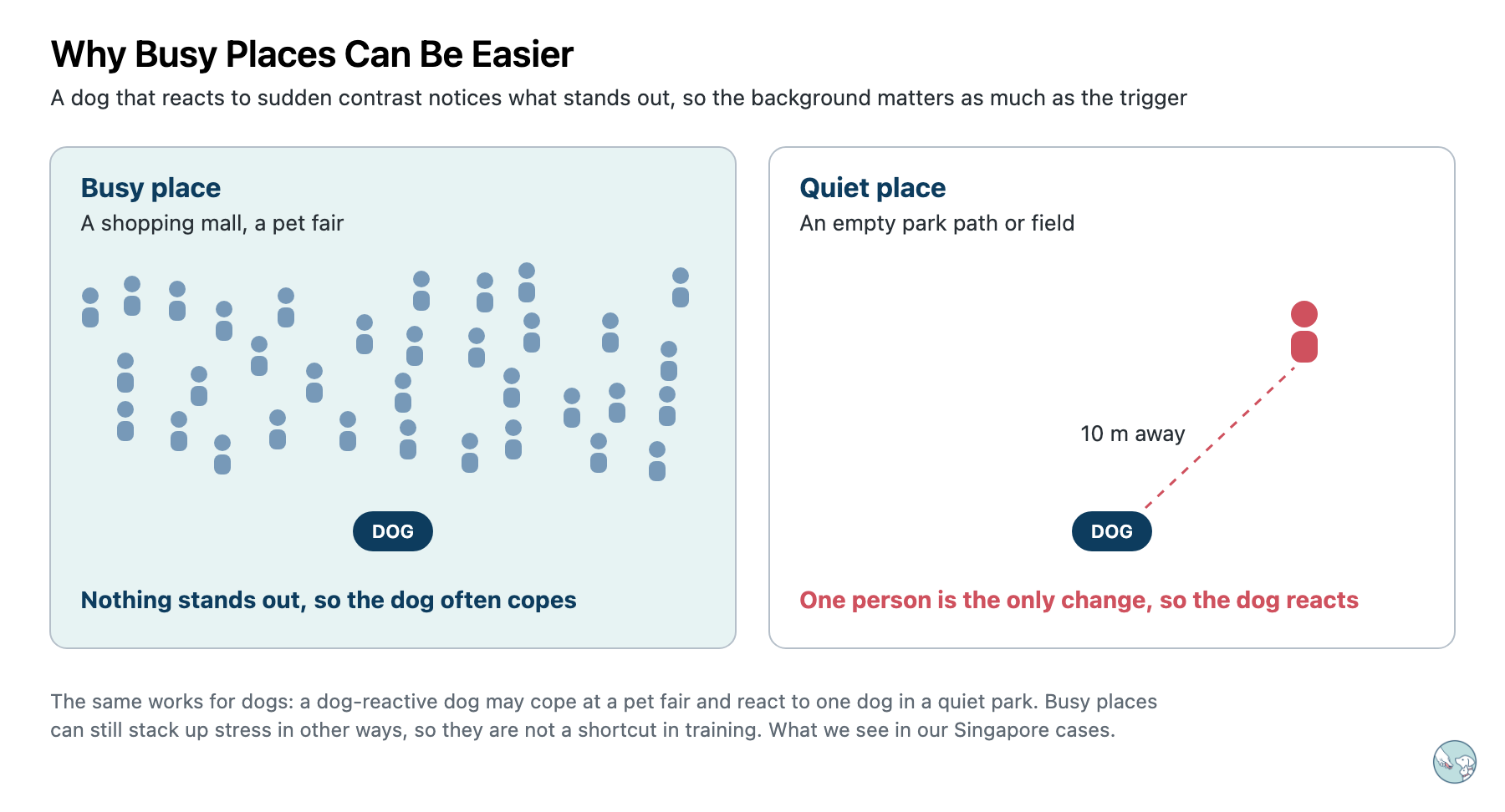 Two panels comparing a busy place and a quiet place. In a busy place like a shopping mall or pet fair, many people move around the dog, nothing stands out, and the dog often copes. In a quiet place like an empty park or field, one person 10 metres away is the only change, and the dog reacts.