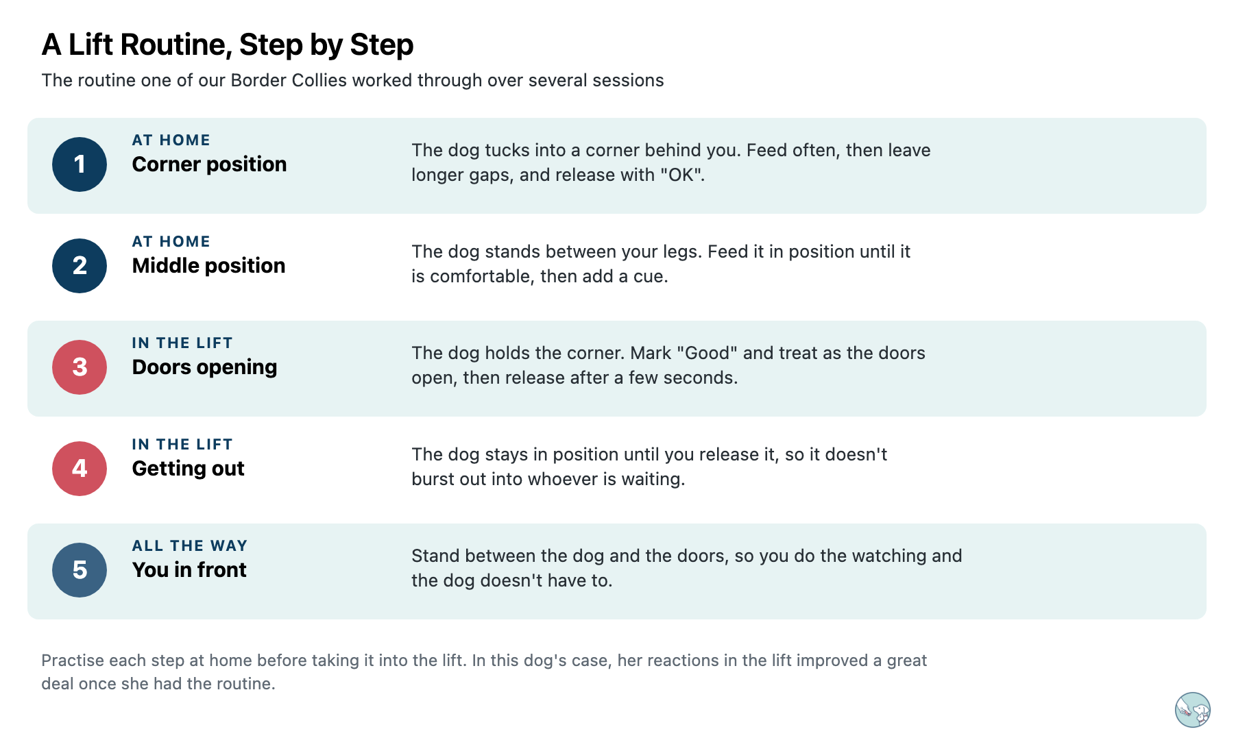 Five steps of a lift routine. At home, the dog learns a corner position behind you and a middle position between your legs. In the lift, the dog holds the corner and gets a treat as the doors open, then stays in position until released when getting out. Throughout, you stand between the dog and the doors.
