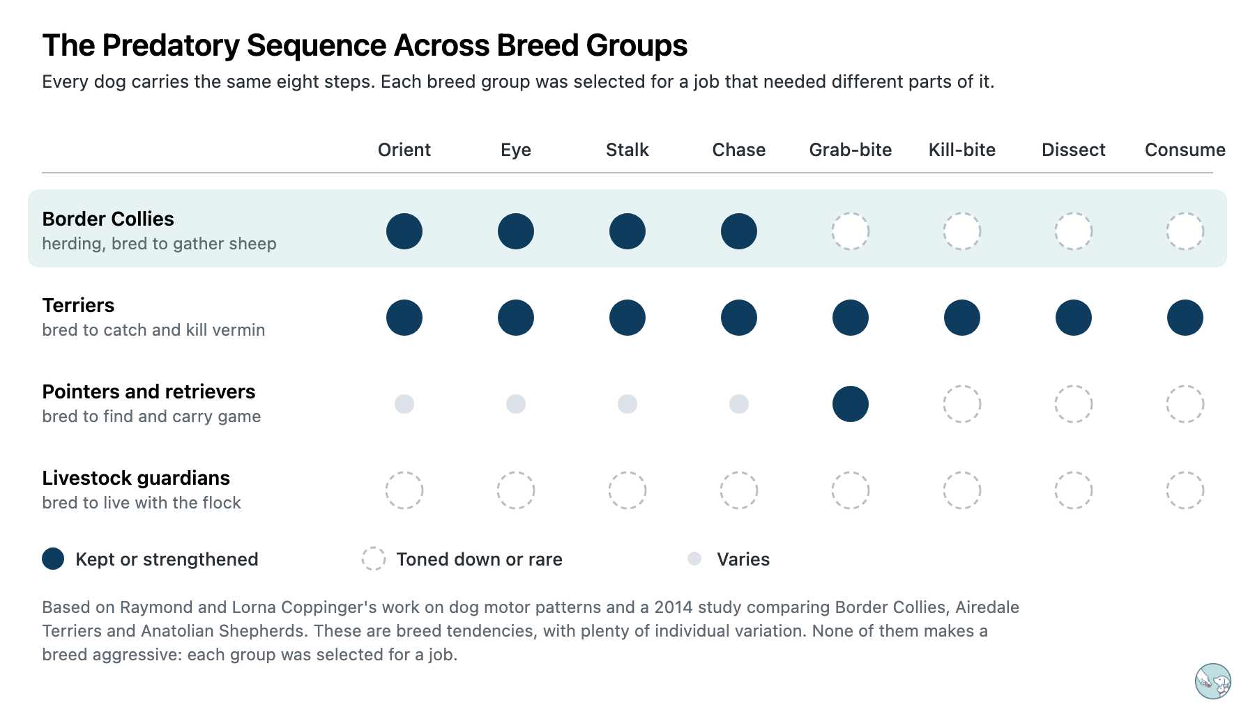 Chart of the eight-step predatory sequence across four breed groups. Border Collies keep or strengthen orient, eye, stalk and chase, and tone down the bites and feeding steps. Terriers keep the full sequence. Pointers and retrievers keep the grab-bite to carry game and tone down the later steps. Livestock guardians tone down the whole sequence.