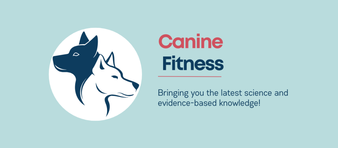 Canine Fitness Blog post